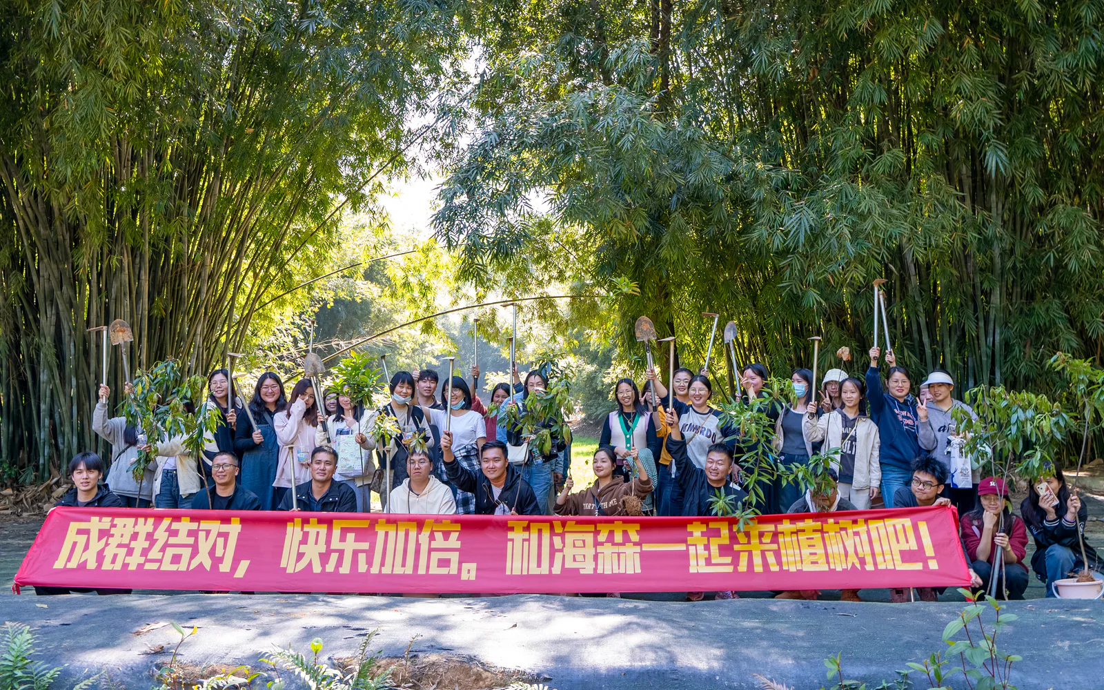 春日添新绿，共植美好未来｜海森开展白云山植树公益活动